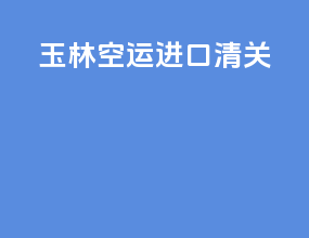 玉林空运进口清关