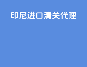 印尼进口清关代理